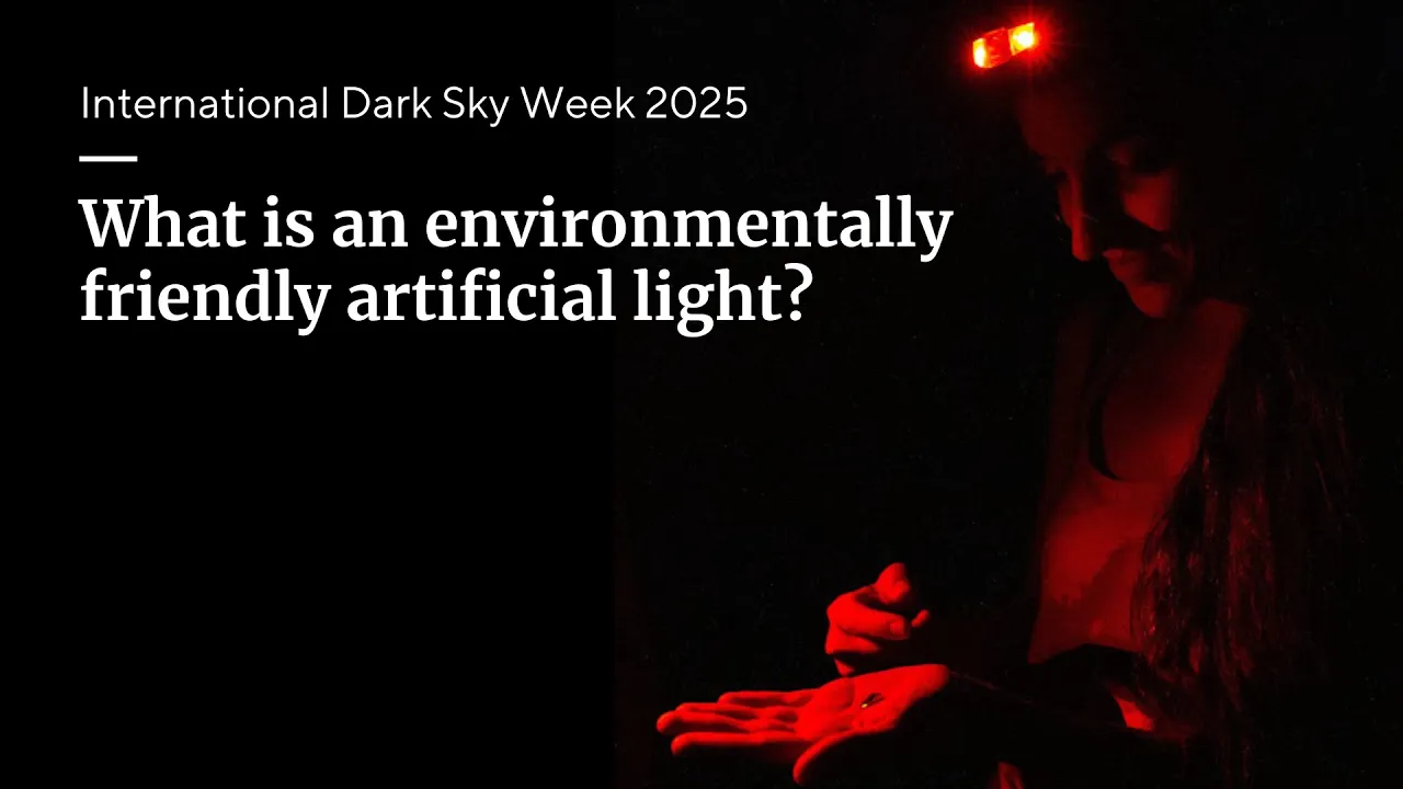 Dr. Avalon Owens: What is an environmentally friendly artificial light?