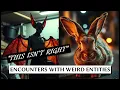 Download Lagu “This Isn’t Right”: Encounters with Weird Entities | Paranormal Stories