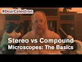 Stereo Versus Compound Microscopes The Basics