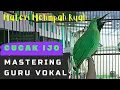 Download Lagu Cucak Ijo Mastering Guru Vokal Materi Melimpah #cucakijo #masteran