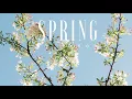 Download Lagu #54 Spring (Official)