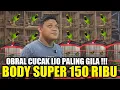 Download Lagu BUSYET PARAH !!! CUMA KIOS SENDY YG NEKAD JUAL PULUHAN CUCAK IJO SEMURAH INI DIKIOS PASAR PRAMUKA