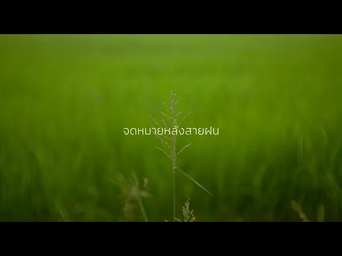 Tester - Letter After Rain | CineFilm Action Film