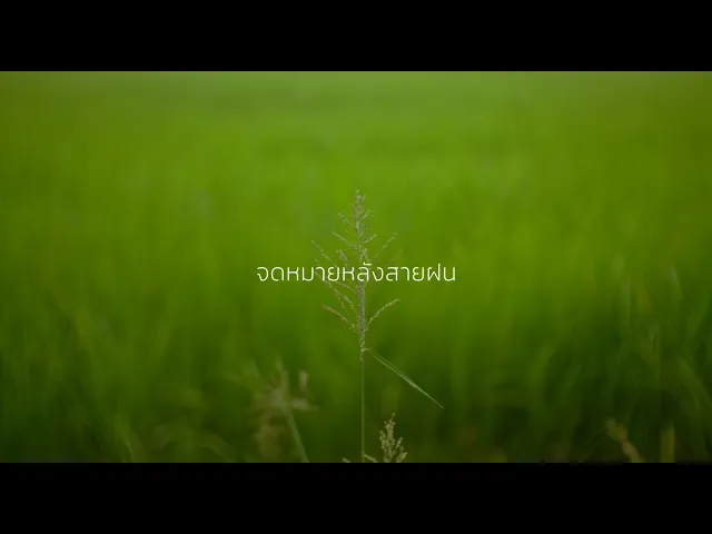 background images