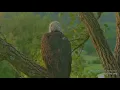 Decorah Eagles 8-19-26 Great to see HM again this morning