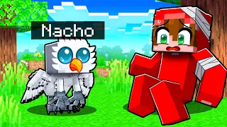 Jugando como un BÚHO BEBÉ Perdido en el BOSQUE en Minecraft!