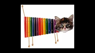 The Kiffness - Xylophone Cat (DJ-F.Harmony Extended Mix)