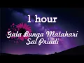 Lagu 1 Hour / 1 Jam Gala Bunga Matahari - Sal Priadi