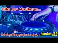 Download Lagu Gila boy Musiknya    Melodinya bikin goyang teruss anjayy