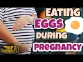 Eating Eggs During Pregnancy Egg Effects on Fetus New Research Based Information Medinet Info