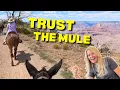 An Incredible Way to Experience the Grand Canyon