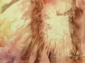 Tango Jointz ~ Tango D'Amor