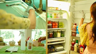 Download Smart Organizing Fridge Cleaning Routine Tips | Bacteria \u0026 Odor Complete Removal MP3