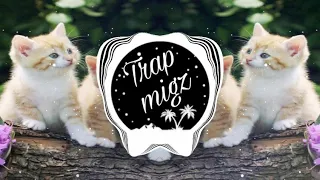 LEARN TO MEOW REMIX !!! SAY MEOW MEOW | TiktokViral