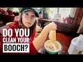 Kombucha Continuous Brew Maintenance Routine