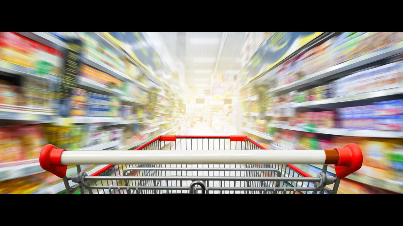 Introduzione alla Grande Distribuzione Organizzata