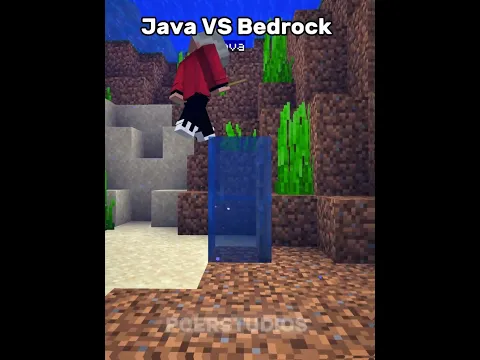 Java Vs Bedrock Doors !