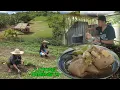 Download Lagu Sinampalukang pata ng baka at kabute sa talbos ng SAMPALOK | Lutong Probinsya, Buhay Probinsya 