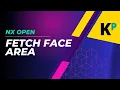 Fetch Face Area NX Open Programming Parametric Krish