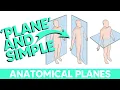 Planes of the Body Made Crazy Simple