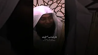 حب الحسن والحسين رضي الله عنهم بدر المشاري 