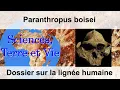 Download Lagu Paranthropus boisei