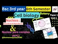 Nucleus Structure and functions control center Nuclear Pore Complex nucleolus Cell Biology