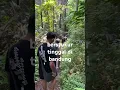 Download Lagu Selangkah dari kota, ada #greenway seperti ini - Kampung Sekejolang + Tahura Juanda + Kordon Dua
