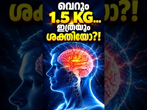 തലച്ചോറിന്റെ അത്ഭുതശക്തി The Amazing Science of the Human Brain, Malayalam short