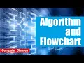 Algorithm and Flowchart Problem Solving using Flowchart and Algorithm Looping