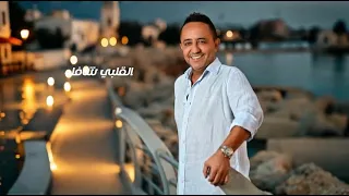                                                                      علي الديك  جانن        دندنها