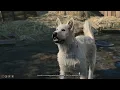 All companions reactions when Scratch is too tired to fetch his ball New