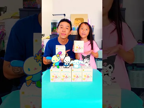 Sanrio Ice Cream Blind Box Challenge, We Pulled USAHANA! @toptoy_onlinestore