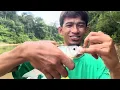 Download Lagu Part 2 taman negara