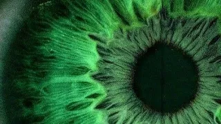 تحذير قوي جدا ستحصل على عيون الأفعى الخضراء بسرعة البرق في يوم واحد فقط عيون خضراء ساحرة 