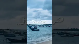 حالات واتس طب مين يأمنلك تانى 2022 