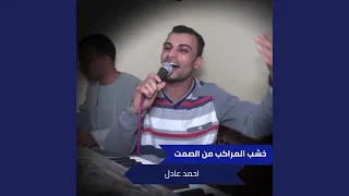 خشب المراكب من الصمت دندنها