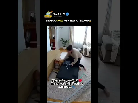 This Dog Deserves a Medal — Watch What He Did 😱🐕 #HeroDog #DogSavesBaby #SecurityCam