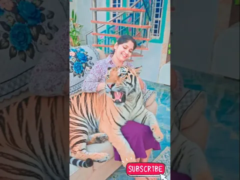 Monika, come and play with tiger 🐅😲 | #trending #shorts #monikaprabhu #funny | Monika Prabhu