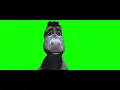 Staring Donkey Face Meme - Green Screen