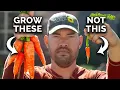 Watch This BEFORE You Plant Carrots