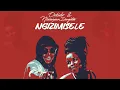 Download Lagu Oskido \u0026 Nkosazana Daughter - Ngizimisele ft X-Wise #nkosazanadaughter