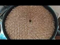 Download Lagu Lebanese kibbeh bil sanieh recipe | طريقة عمل الكبة بالصينية اللبنانية