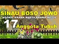 Download Lagu Bahasa Jawa Belajar Mengenal Anggota Tubuh