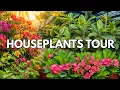 Houseplant Shop Tour Rare and Beautiful Indoor Plants Visiting a Beautiful Plant Shop
