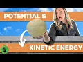 Potential Kinetic Energy