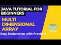 Multi Dimensional Array Inner Loop in Java