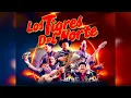 MIX TIGRES DEL NORTE VOL.1 CORRIDOS - E.MARCOSDJ