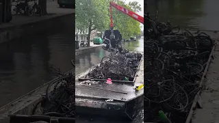 طلع كل العجل من الترعة  عشان يلاقي واحدة      دندنها