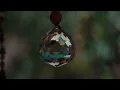Rumah - Navicula